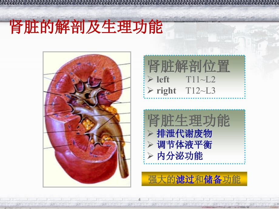 肾脏疾病教学ppt课件_第4页