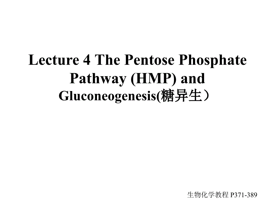 生物化学教学课件：Lecture 4 The Pentose Phosphate Pathway (HMP) and Gluconeogenesis(糖异生）_第1页