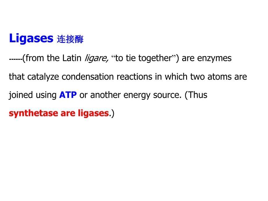 生物化学教学课件：Lecture 4 The Pentose Phosphate Pathway (HMP) and Gluconeogenesis(糖异生）_第5页