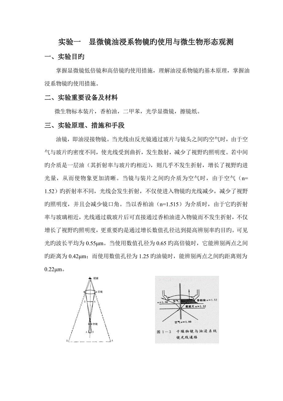 食品微生物学试验基础指导书_第5页