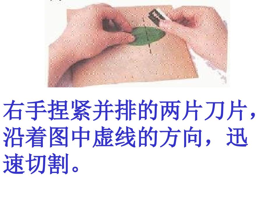 绿色植物与生物圈的水循环PPT课件_第4页