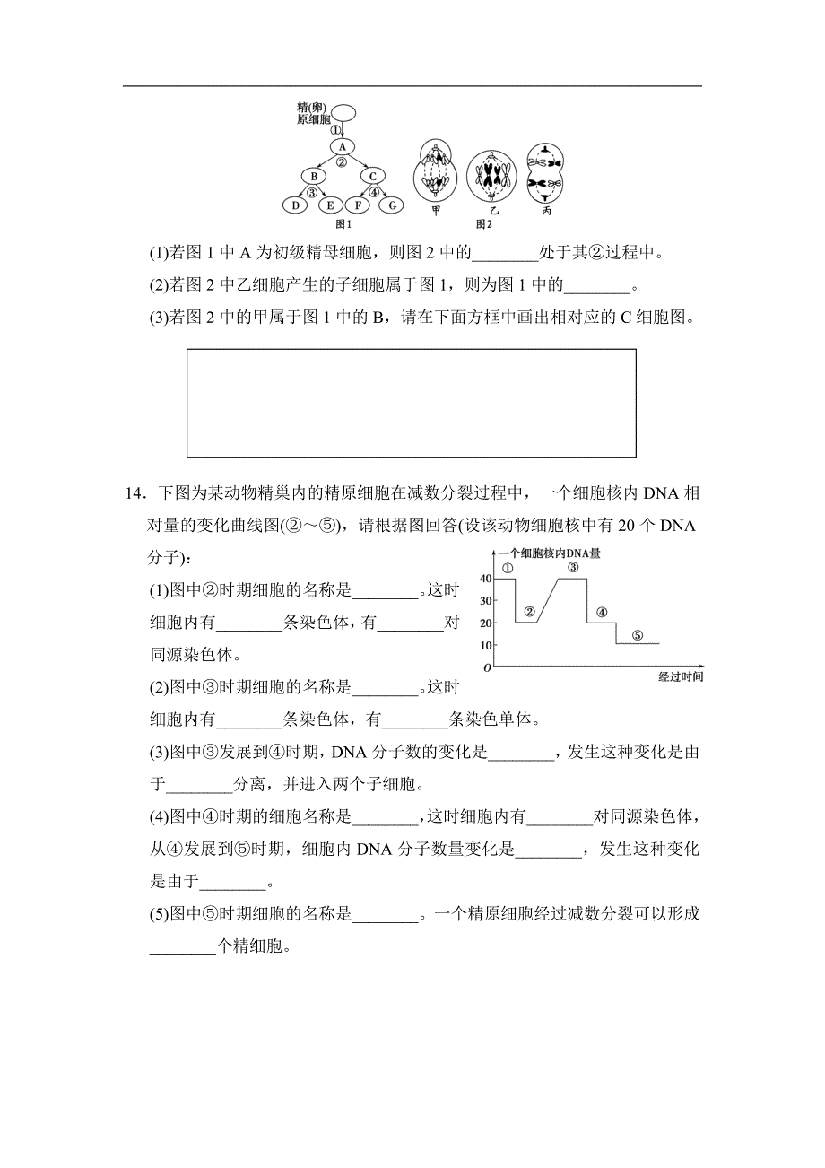 减数分裂和受精作用练习_第4页