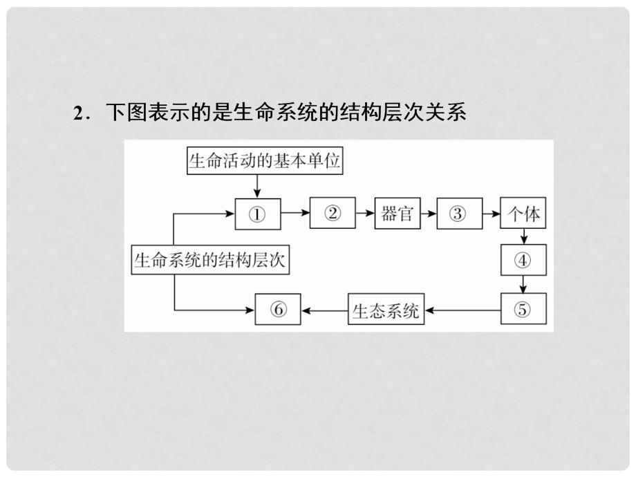 高考生物大一轮复习 第1单元 走进细胞和组成细胞的分子 第1讲 走近细胞课件（必修1）_第3页