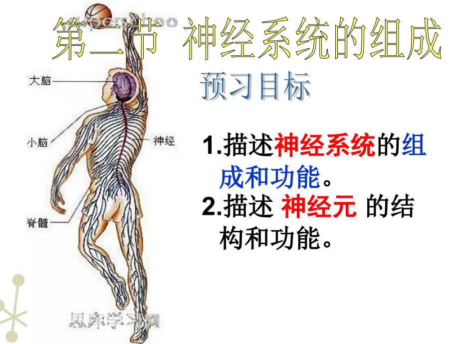 最新七年级生物下册神经系统的组成课件人教新课标版PPT文档_第1页