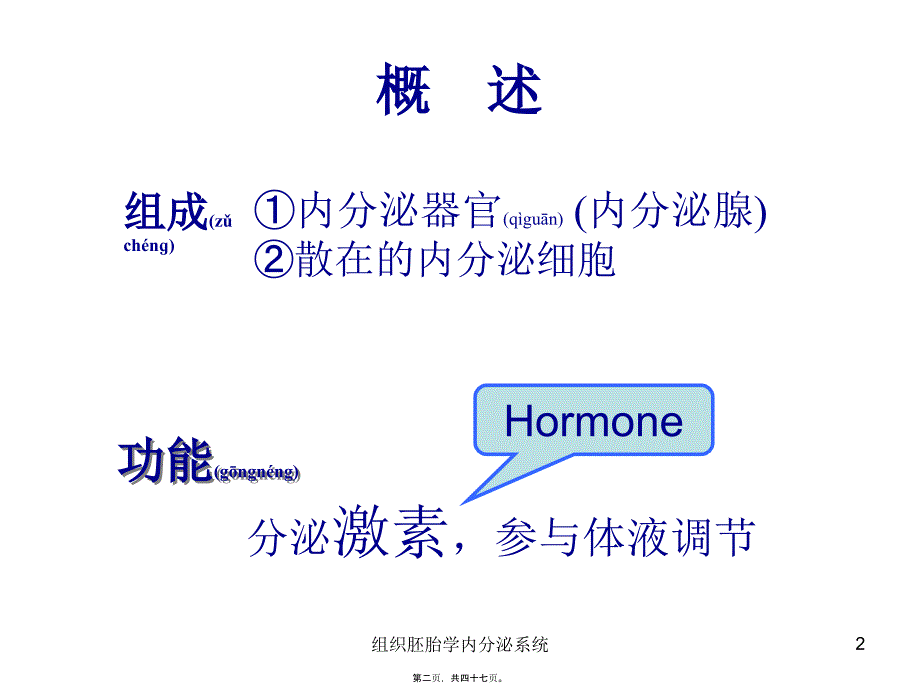 组织胚胎学内分泌系统课件_第2页