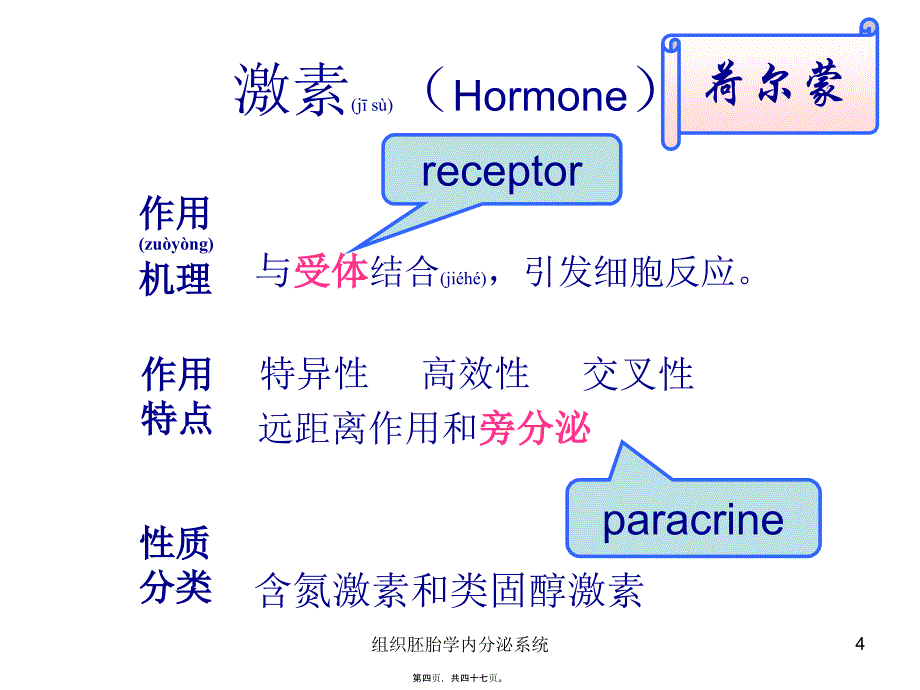 组织胚胎学内分泌系统课件_第4页