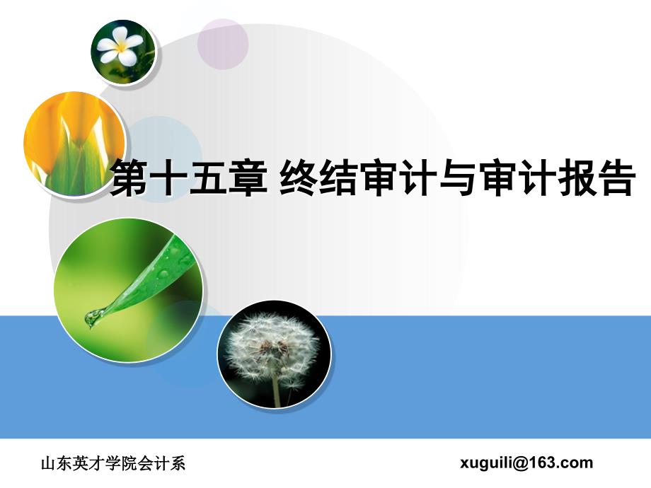 第十五章终结审计与审计报告_第1页