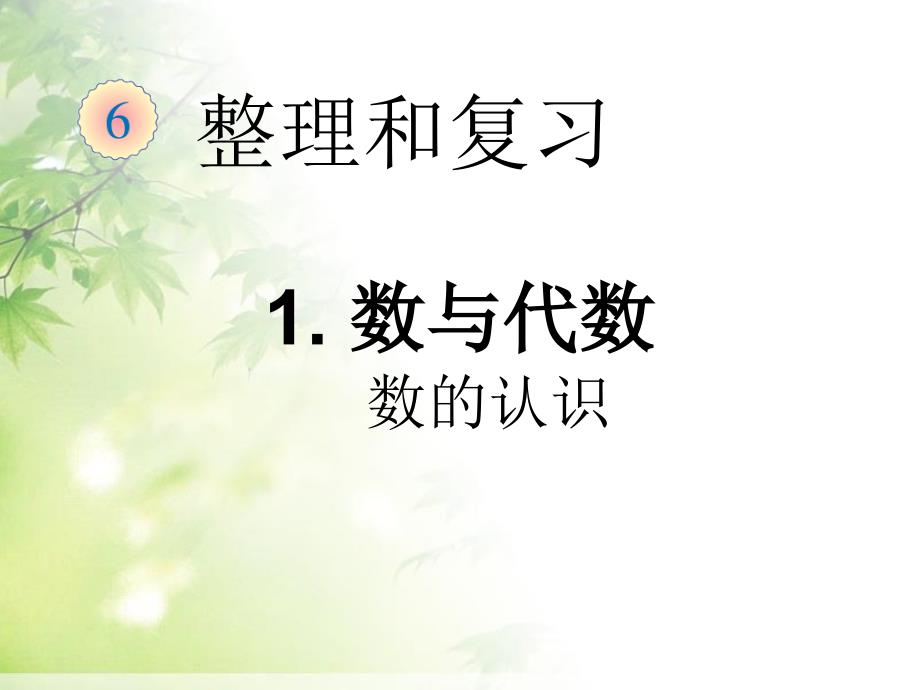 最新人教版六年级下册数学第六单元整理复习数与代数数的认识ppt课件_第1页