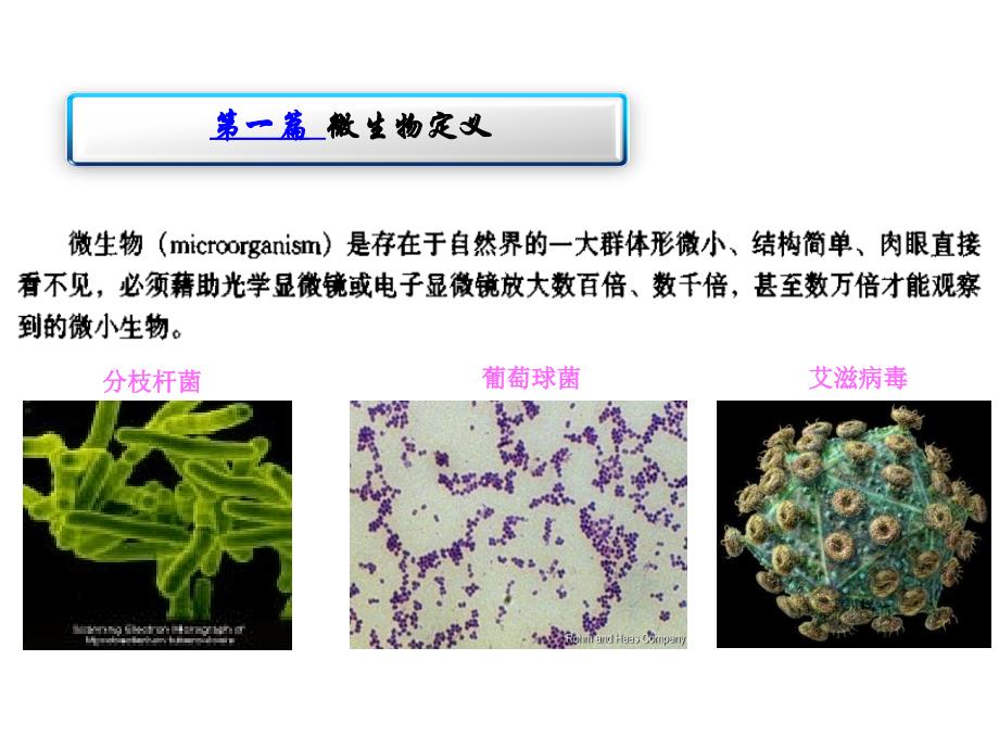 微生物基础知识培训.ppt_第3页