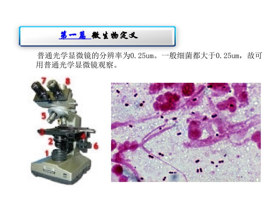 微生物基础知识培训.ppt_第4页