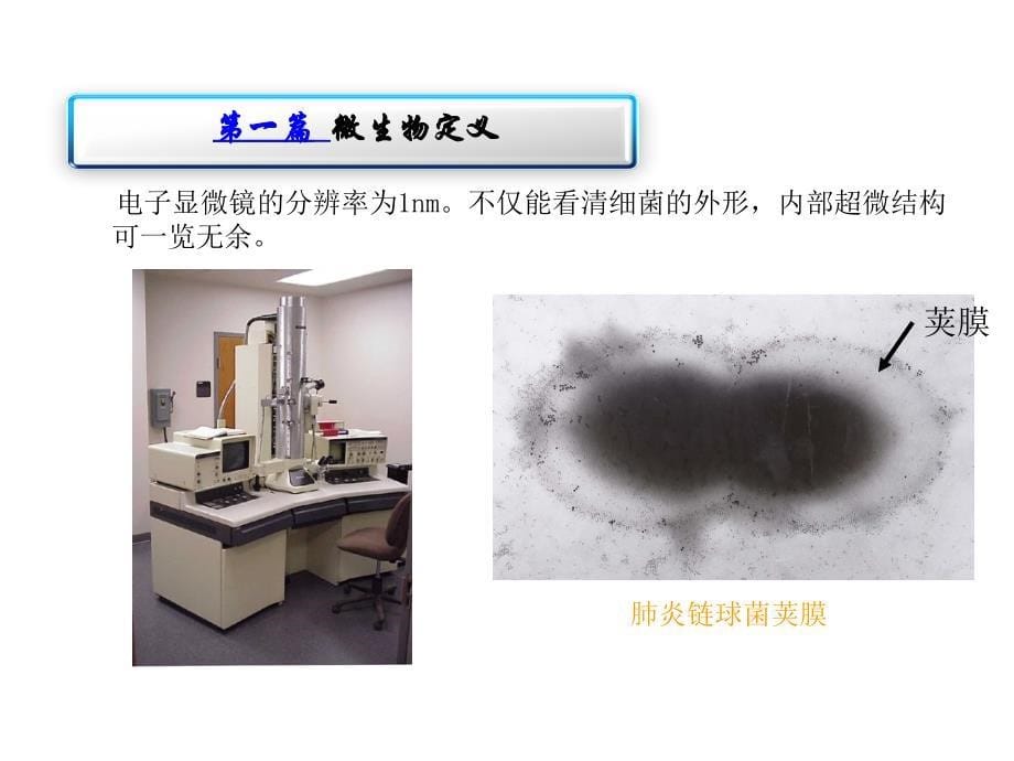 微生物基础知识培训.ppt_第5页