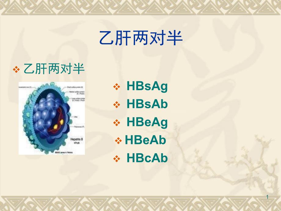 乙肝五项课堂PPT_第1页