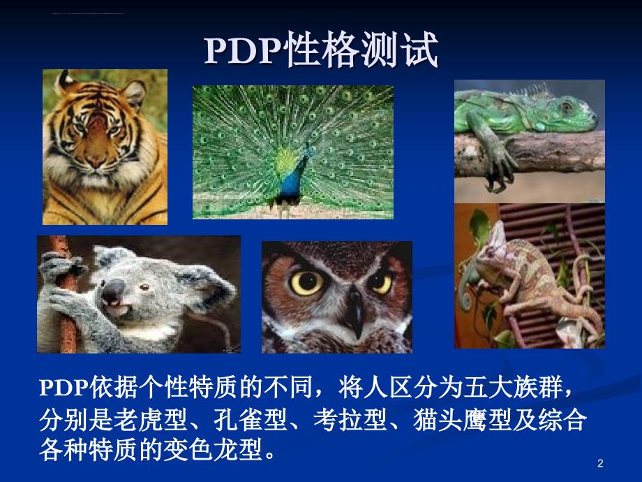 PDP性格测试(老虎、考拉、孔雀、猫头鹰、变色龙)ppt课件_第2页