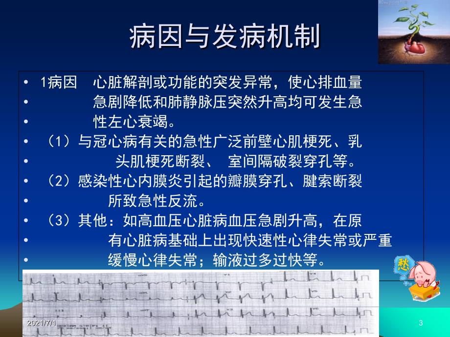 急性左心衰的急救流程及护理_第3页