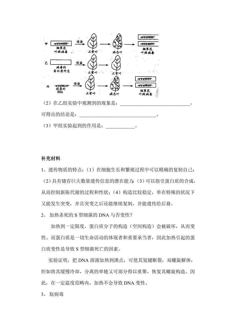 DNA是主要的遗传物质学案_第5页