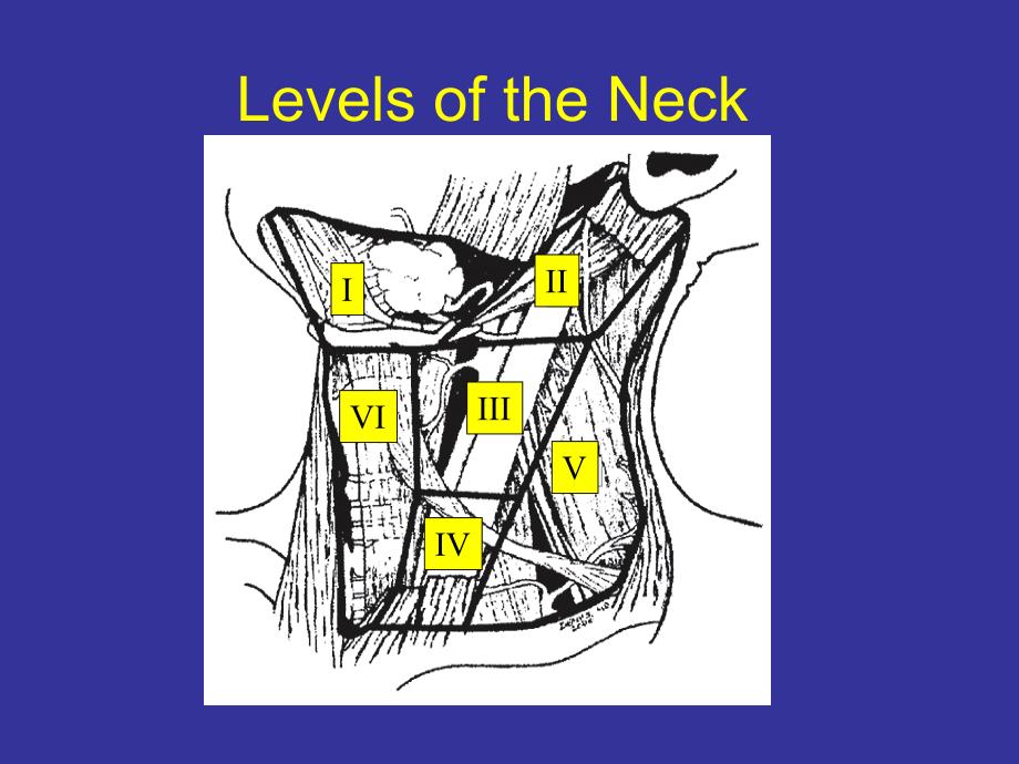 头颈癌的手术治疗概要课件_第3页