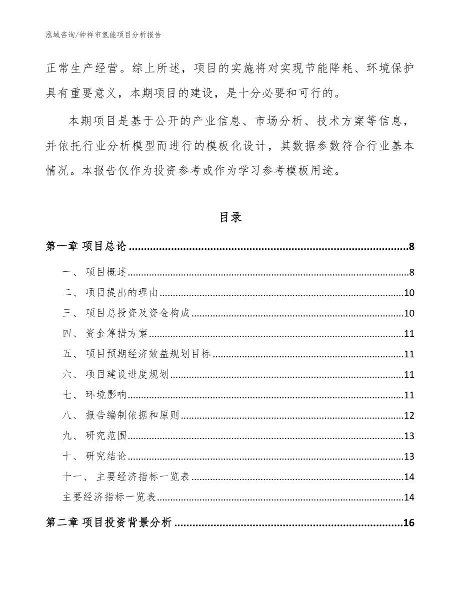 钟祥市氢能项目分析报告_范文模板_第2页