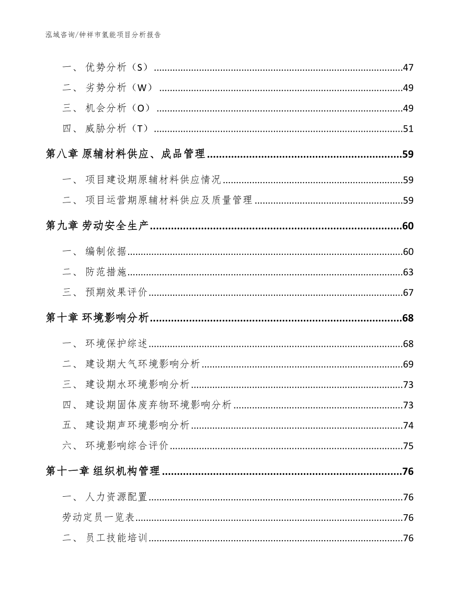 钟祥市氢能项目分析报告_范文模板_第4页