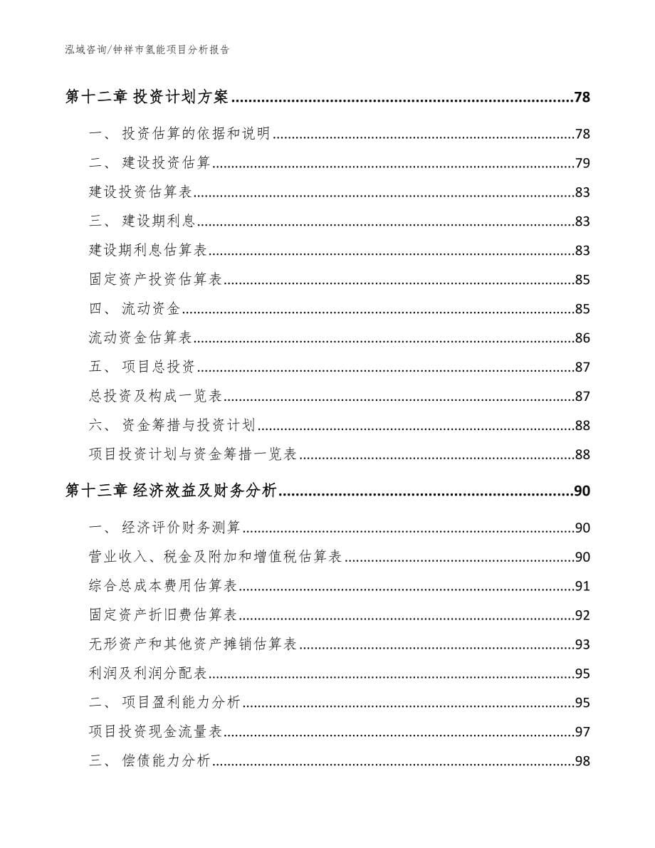 钟祥市氢能项目分析报告_范文模板_第5页