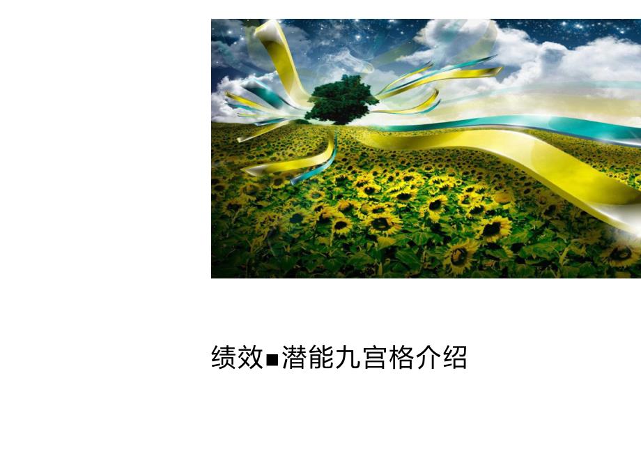 绩效潜力九宫格介绍_第1页