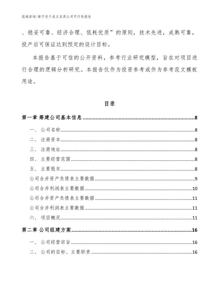 南宁关于成立皮具公司可行性报告模板范本_第3页