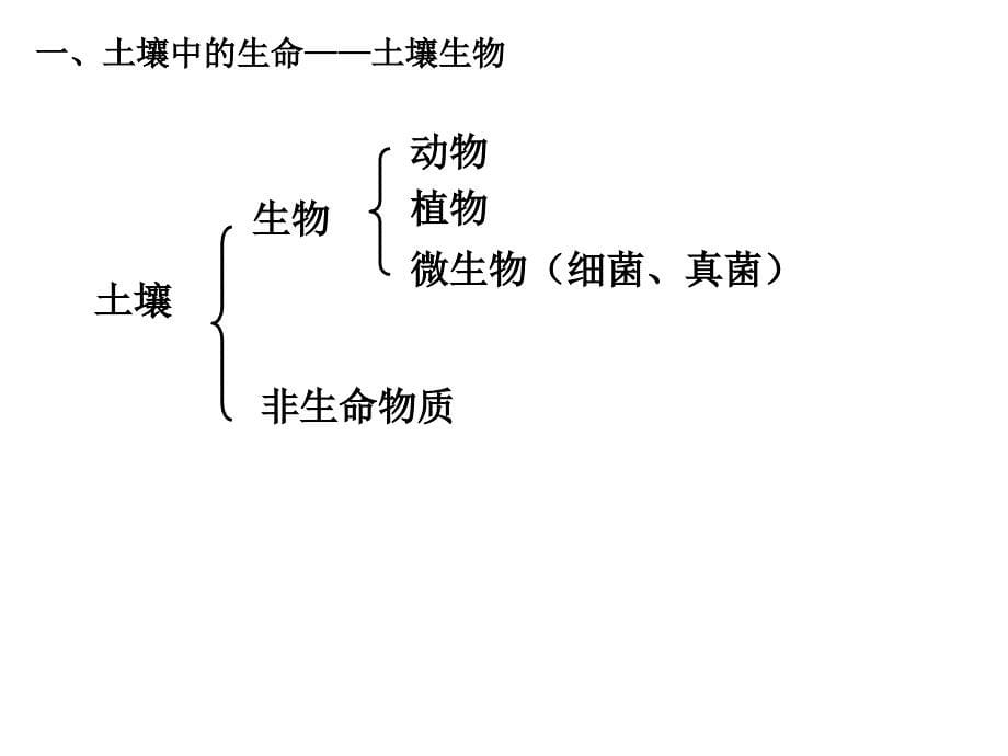 1节土壤的成分_第5页