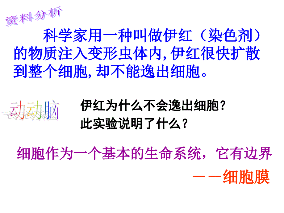 人教版教学课件必修一第三章第1节细胞的基本结构细胞膜PPT课件_第4页