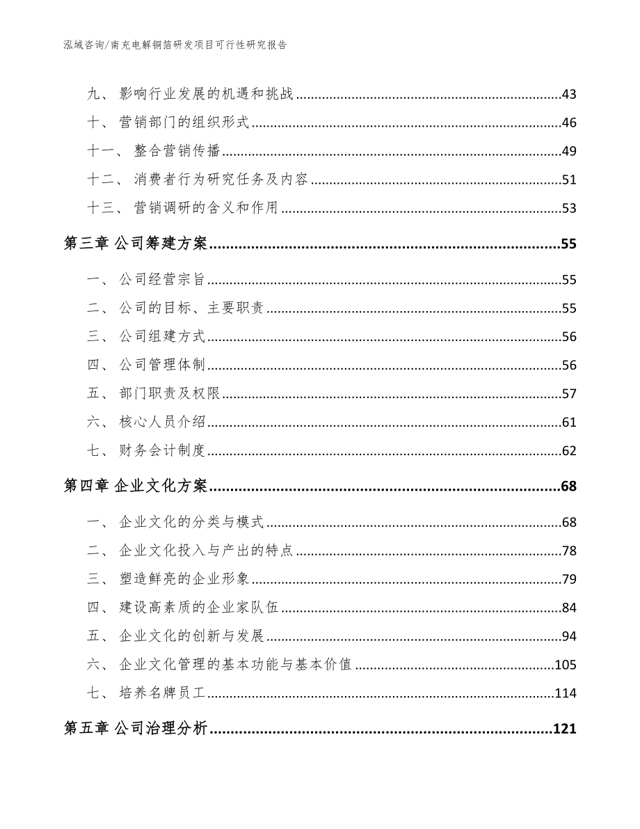 南充电解铜箔研发项目可行性研究报告_模板参考_第3页