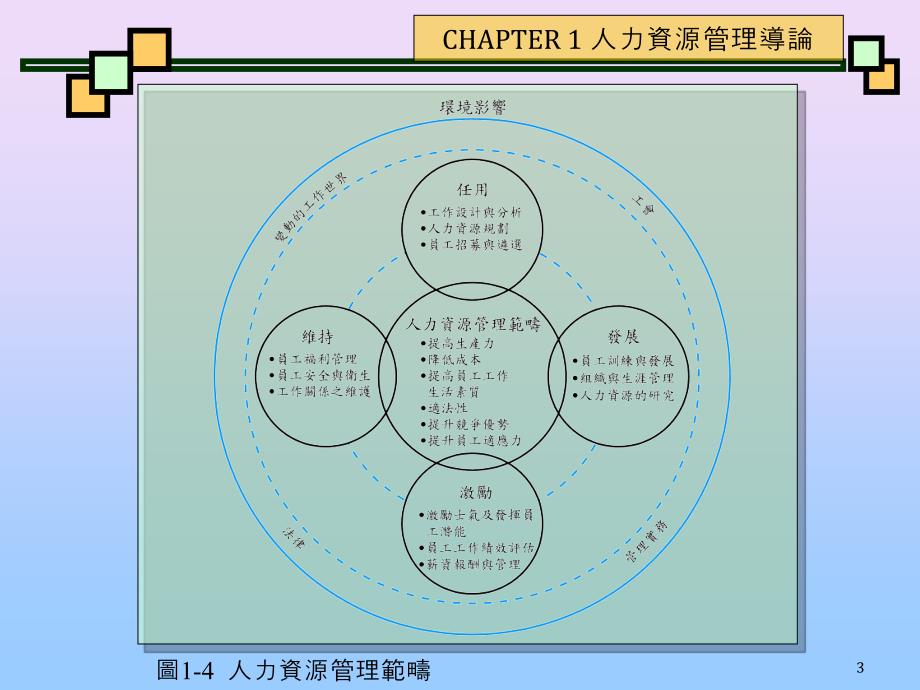 图11人力资源管理与管理功能关联图_第3页