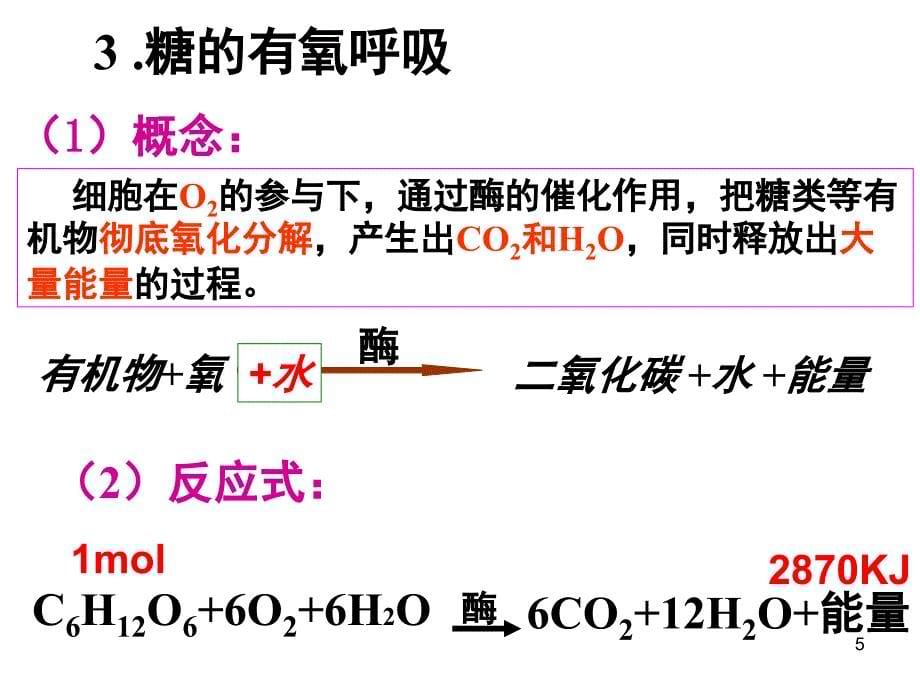 呼吸作用竞赛课1103PPT课件_第5页