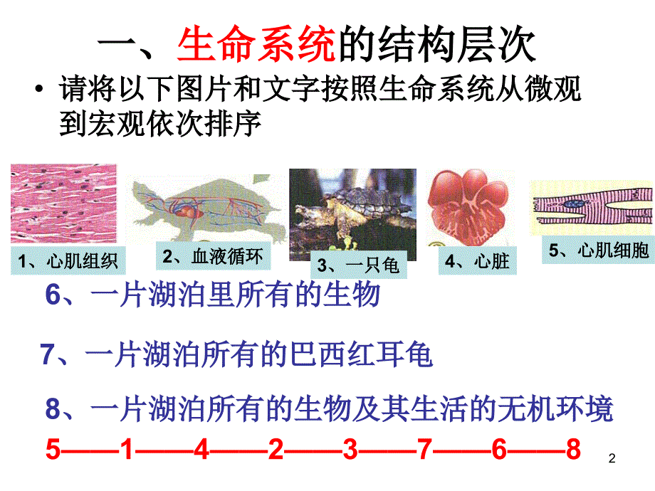 1、1-从生物圈到细胞(一轮复习)PPT优秀课件_第2页