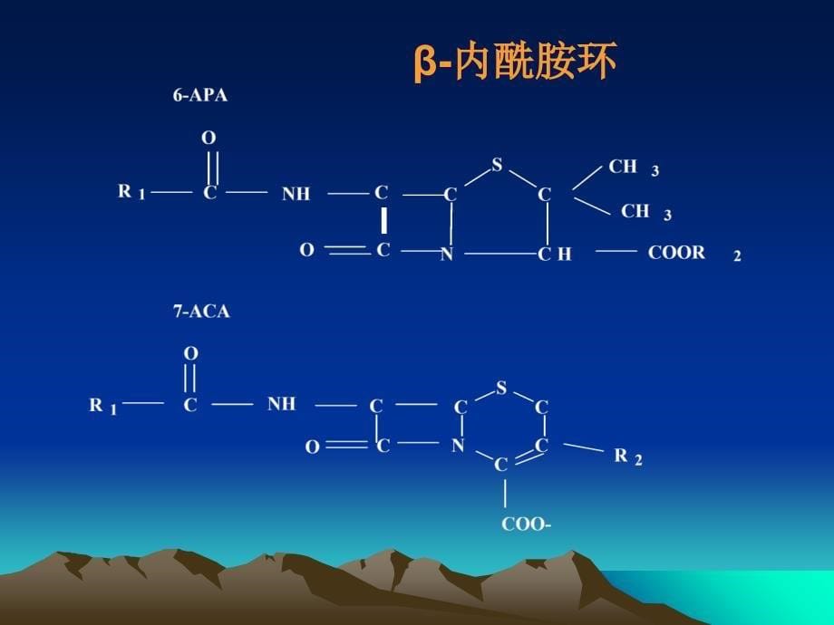 最新：药理学β内酰类抗生素文档资料_第5页