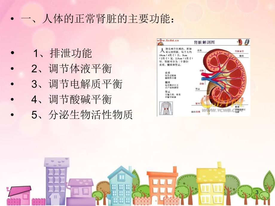 血液透析患者治疗及护理ppt课件_第3页