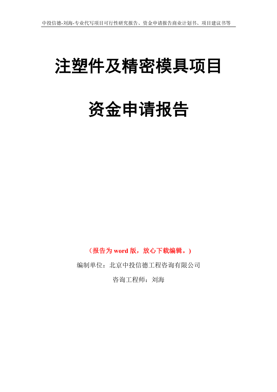 注塑件及精密模具项目资金申请报告模板_第1页