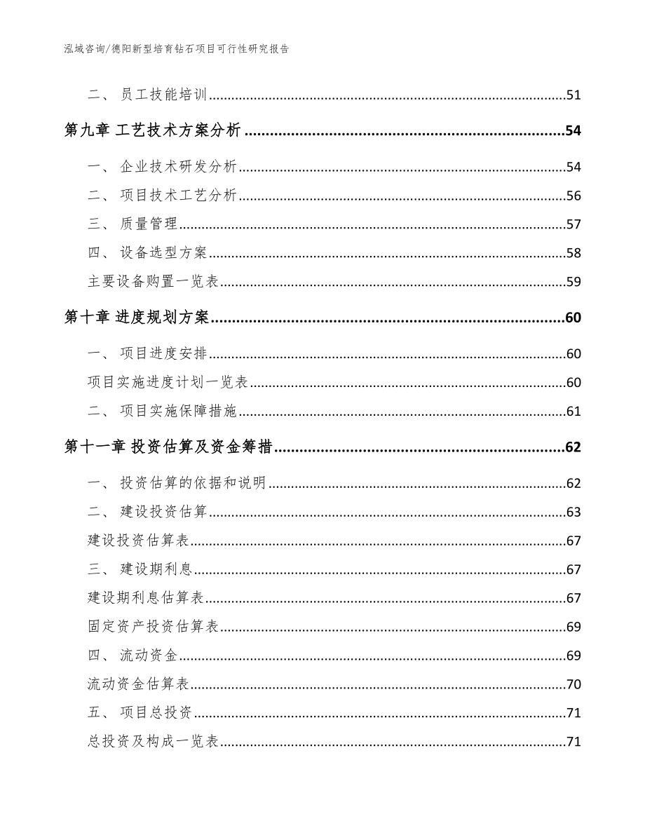 德阳新型培育钻石项目可行性研究报告_模板范文_第4页