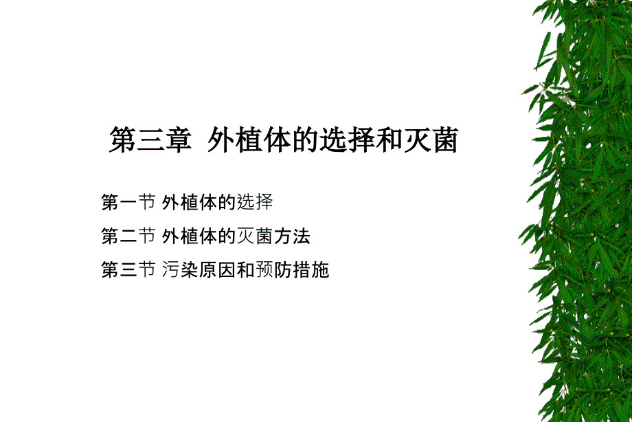 外植体的选择和灭菌_第2页