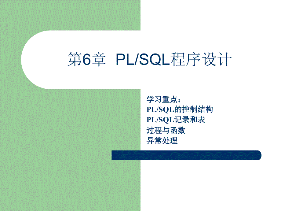 PLSQL程序设计 计算机课件_第1页