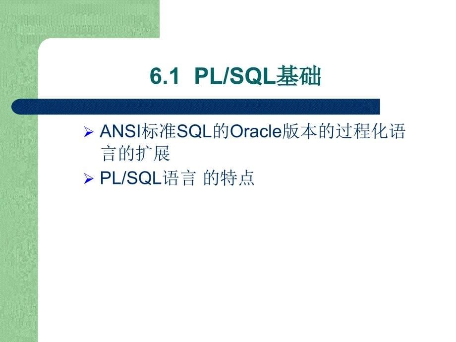 PLSQL程序设计 计算机课件_第5页