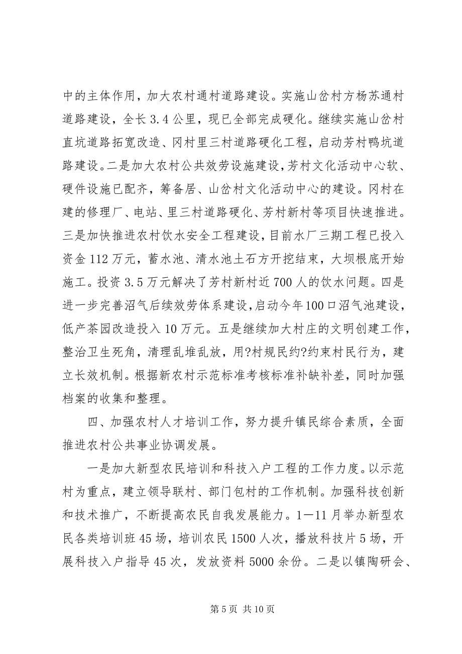 2023年新农办年终总结和来年计划.docx_第5页