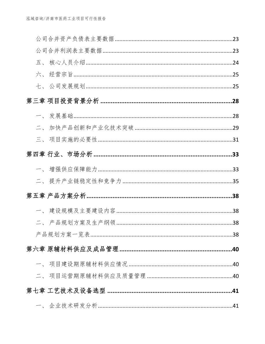 济南市医药工业项目可行性报告（模板范本）_第3页