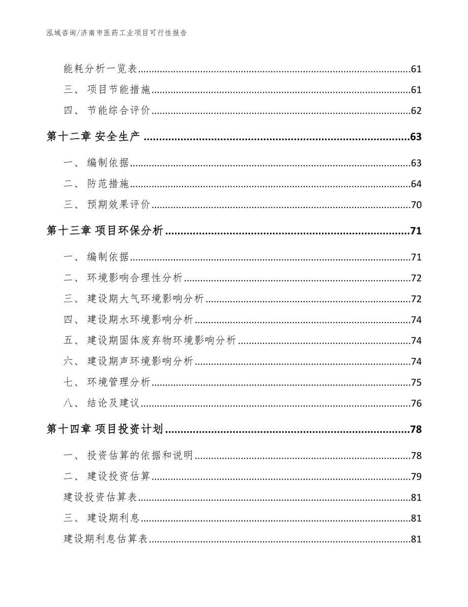 济南市医药工业项目可行性报告（模板范本）_第5页