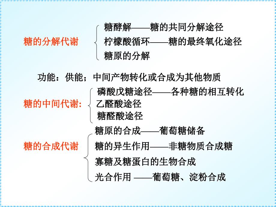 精简41糖代谢EMP_第4页