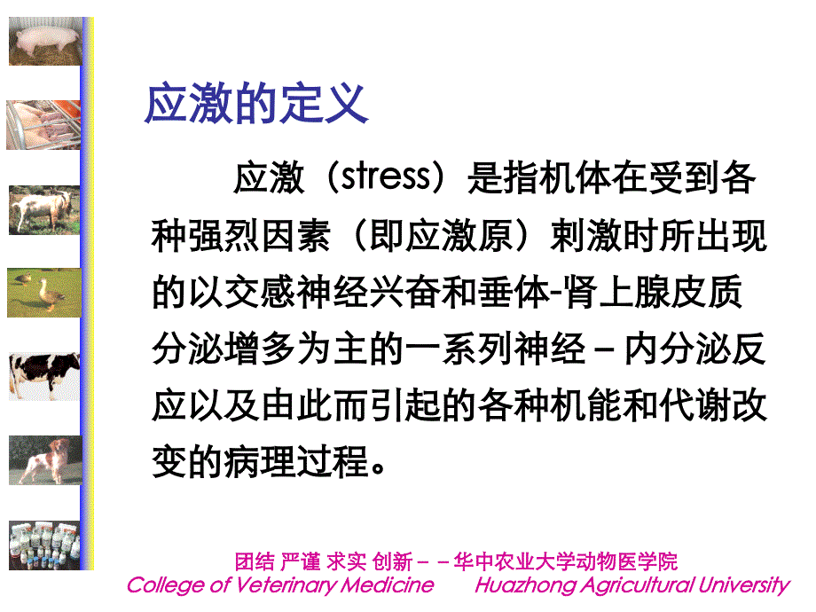 动物病理学05第五章应激_第3页