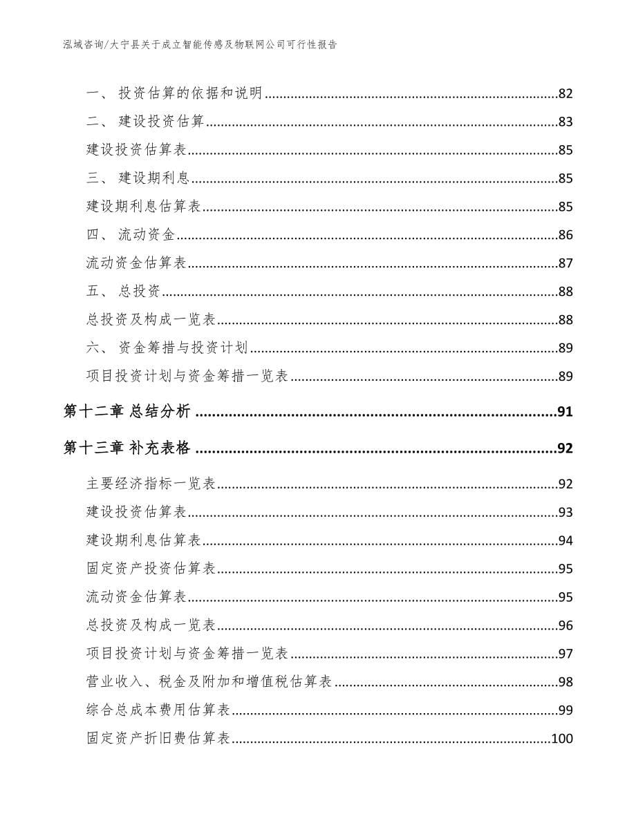 大宁县关于成立智能传感及物联网公司可行性报告_第5页