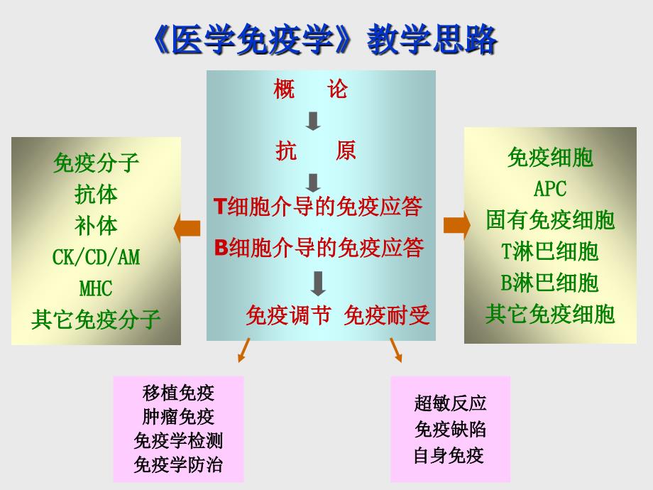 医学免疫学课件：2015秋体液免疫应._第2页