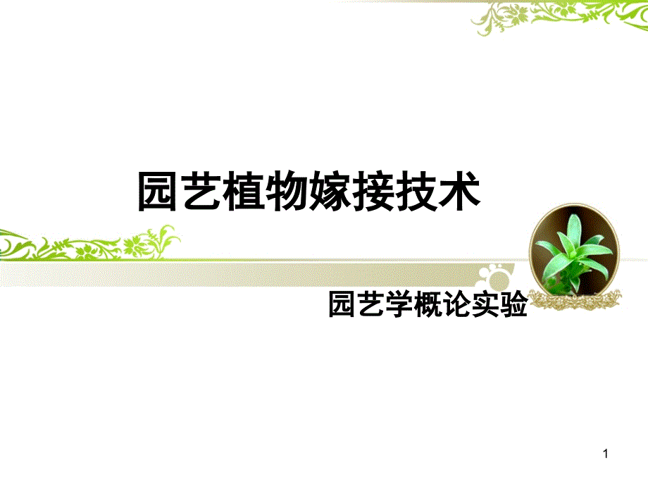 园艺植物嫁接技术实验_第1页