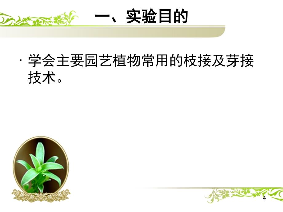 园艺植物嫁接技术实验_第4页