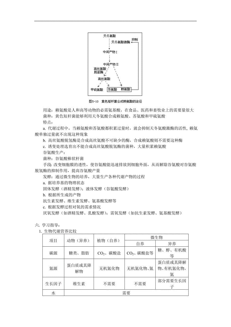 必修全一册第五章第2节微生物的营养、代谢和生长.doc_第5页