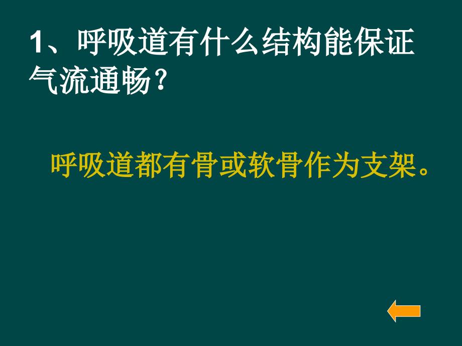 七年级生物呼吸道对空气的处理2_第4页