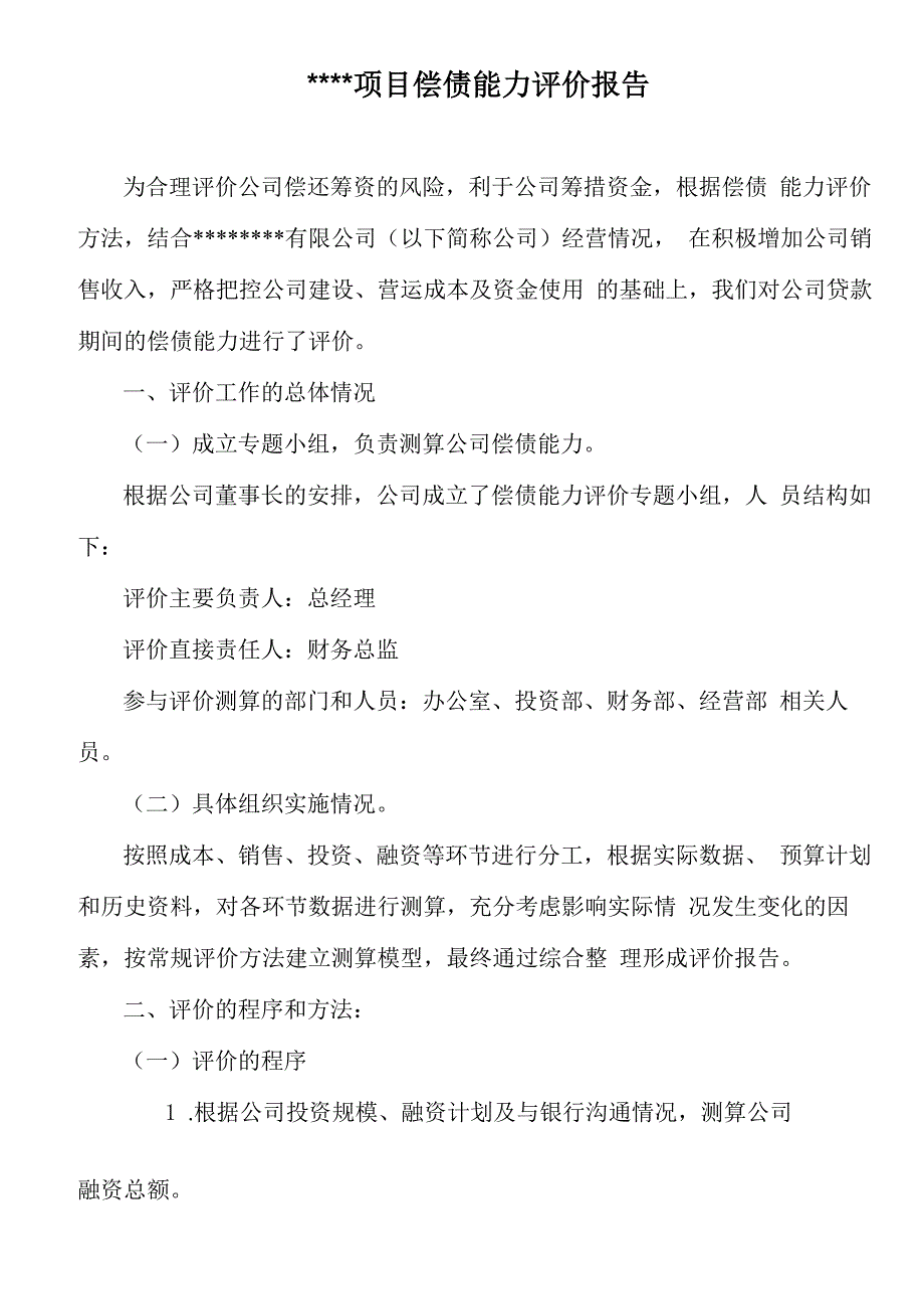 项目偿债能力评价报告_第1页